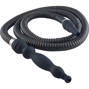 Hybrid Pharoahs Silk Hose