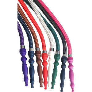 Hybrid Pharoahs Silk Hose