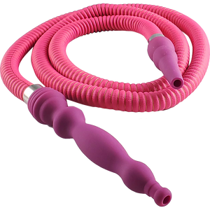 Hybrid Pharoahs Silk Hose